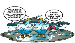 storyimage_picture2_1244840884 storyimage_picture2_1244840884